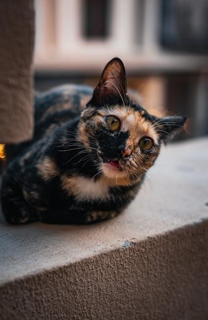 beyond the divorce novel pdf free download