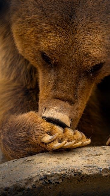 touching spirit bear pdf book