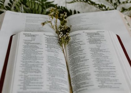 bible studies for life pdf