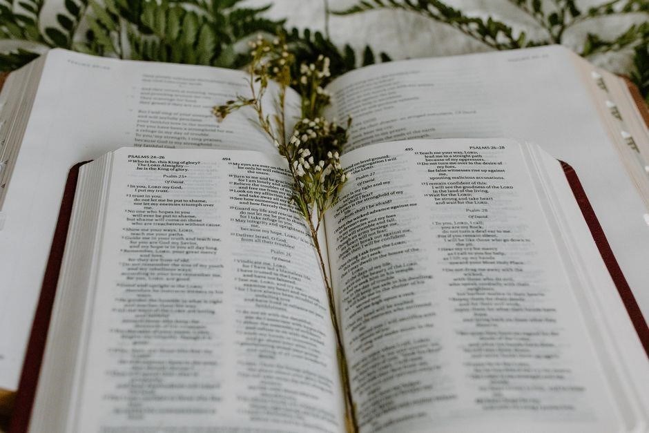 bible studies for life pdf